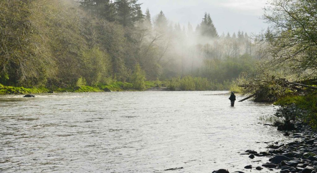 North Pacific Coast Lead Entity | Coast Salmon Partnership