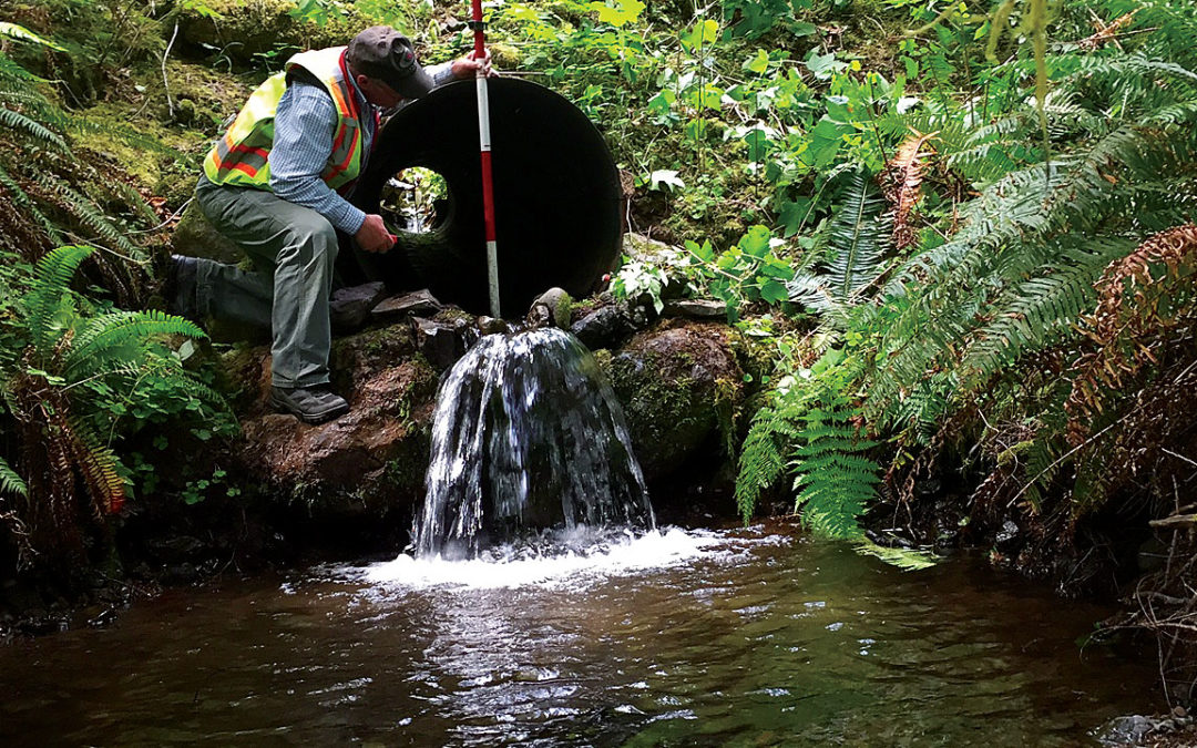 Family Forest Fish Passage Program (FFFPP)