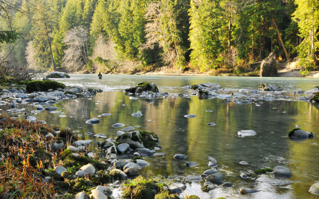 Salmon Recovery Funding Board (SRFB)